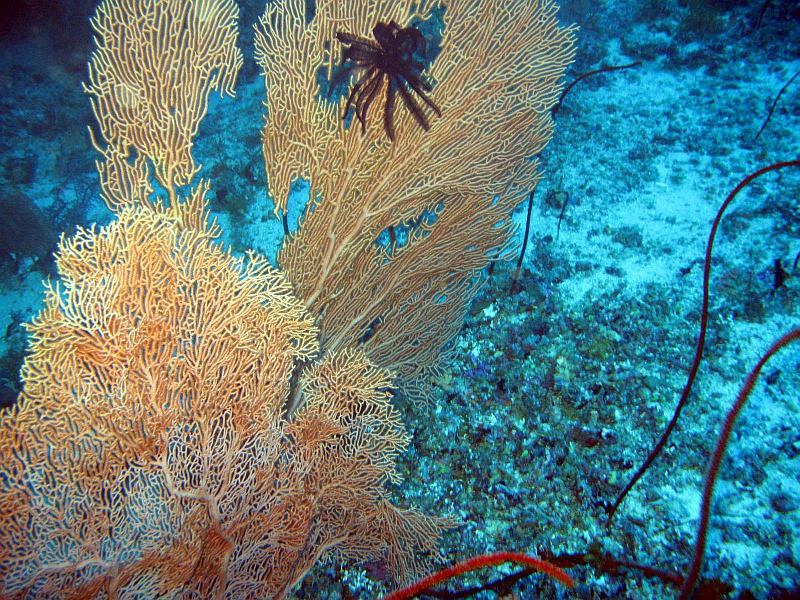 2013 02 22 Yann (05b).jpg